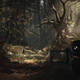 Image for article titled Blair Witch: The Kotaku Review